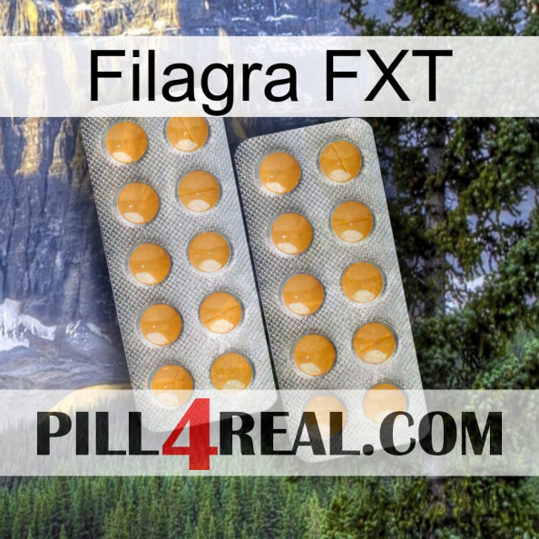 Filagra FXT levitra2.jpg